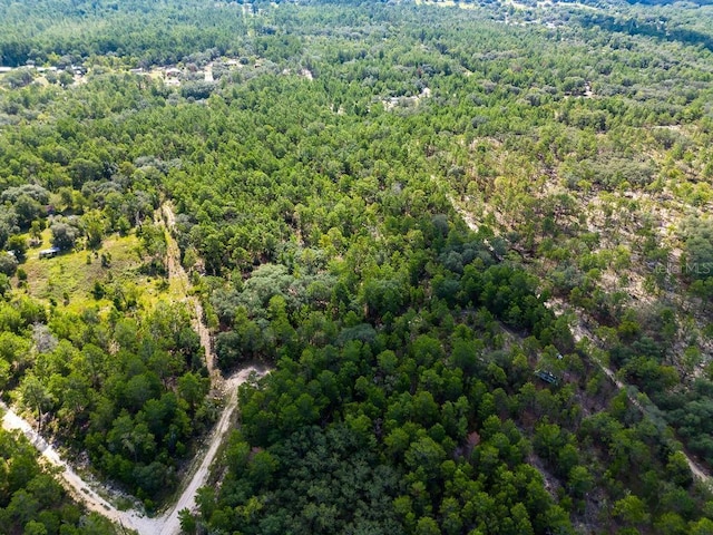 6474 Golden Oak Ln, Keystone Heights, FL 32656 - photo 13