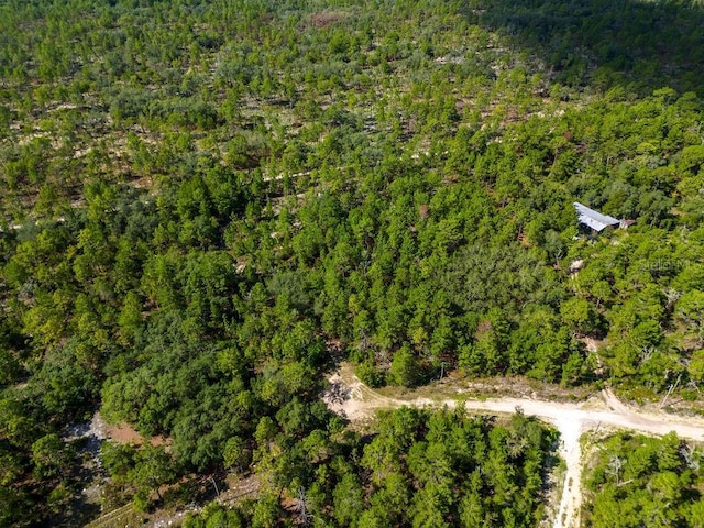 6474 Golden Oak Ln, Keystone Heights, FL 32656 - photo 15