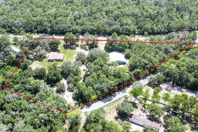 3207 E Withlacoochee Trl, Dunnellon, FL 34434 - photo 2