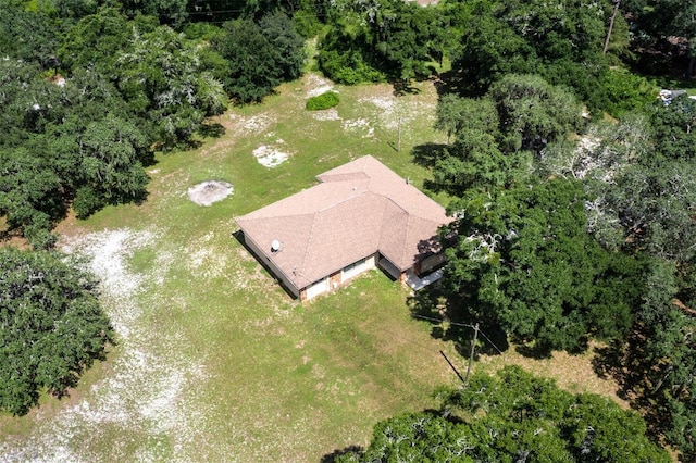 3207 E Withlacoochee Trl, Dunnellon, FL 34434 - photo 4
