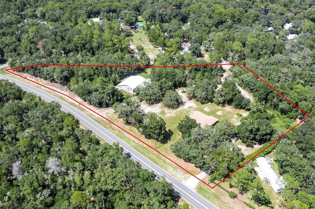 3207 E Withlacoochee Trl, Dunnellon, FL 34434 - photo 5