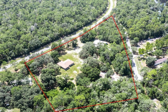 3207 E Withlacoochee Trl, Dunnellon, FL 34434 - photo 6