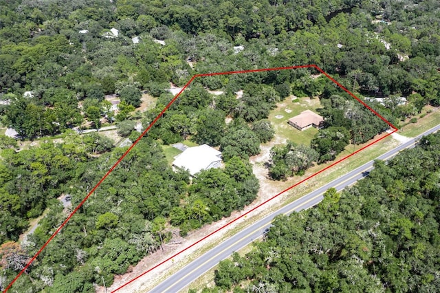 3207 E Withlacoochee Trl, Dunnellon, FL 34434 - photo 8