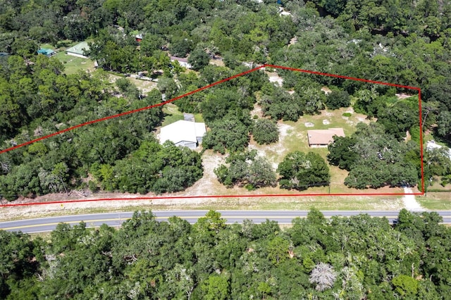3207 E Withlacoochee Trl, Dunnellon, FL 34434 - photo 9