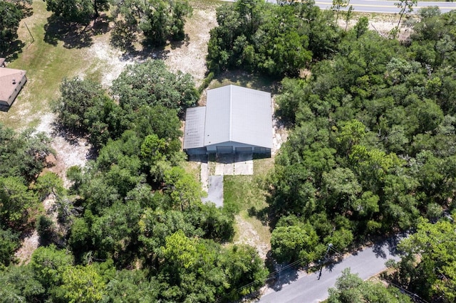 3207 E Withlacoochee Trl, Dunnellon, FL 34434 - photo 59
