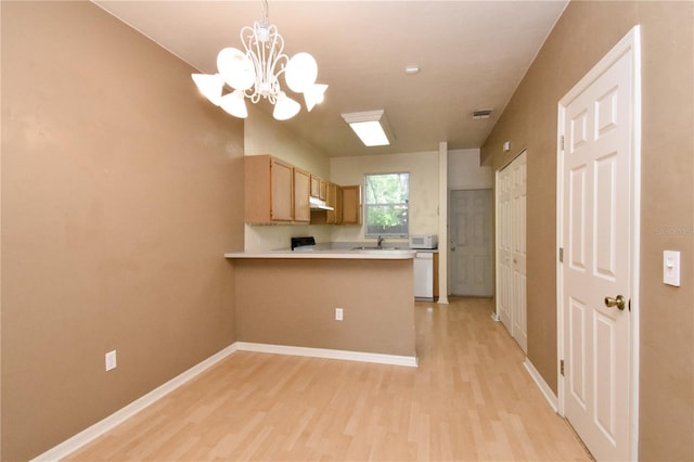 4415 SW 34th St Unit 804, Gainesville, FL 32608 - photo 5