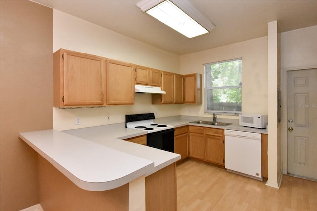 4415 SW 34th St Unit 804, Gainesville, FL 32608 - photo 6