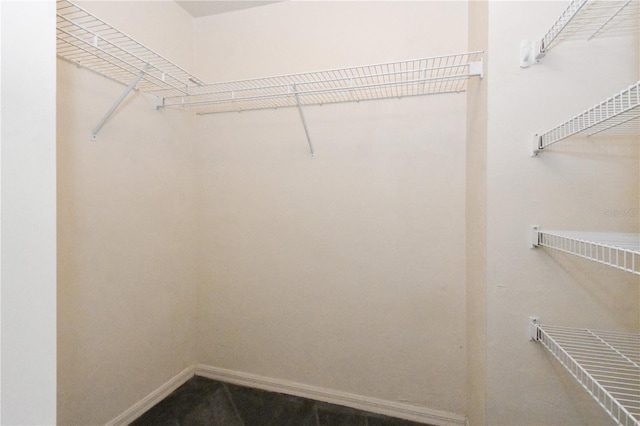 4415 SW 34th St Unit 804, Gainesville, FL 32608 - photo 12