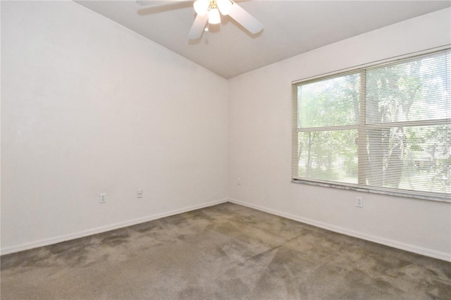 4415 SW 34th St Unit 804, Gainesville, FL 32608 - photo 13