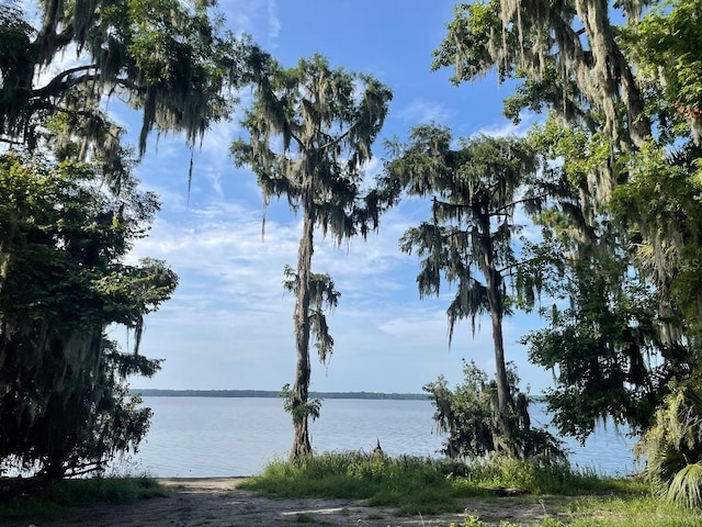 430 SE 74th St, Gainesville, FL 32641 - water view