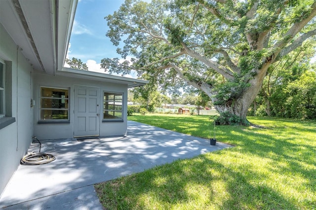 1636 Bravo Dr, Clearwater, FL 33764 - photo 27