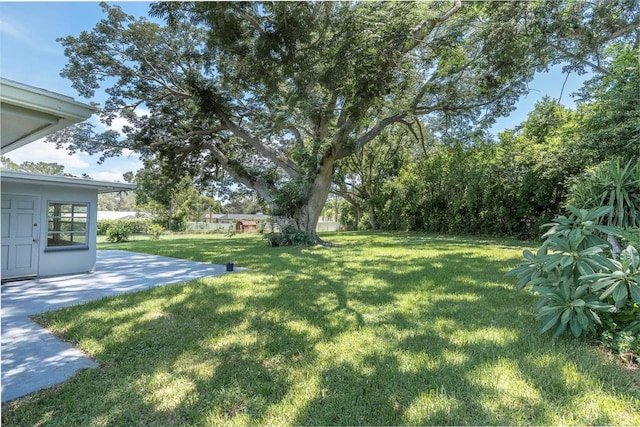 1636 Bravo Dr, Clearwater, FL 33764 - photo 28