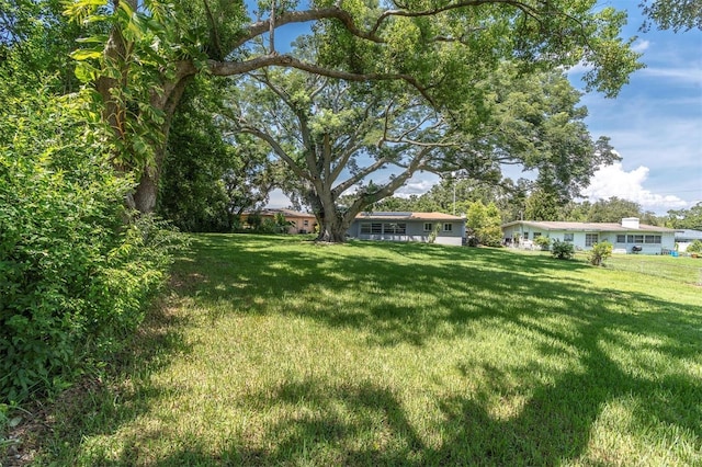 1636 Bravo Dr, Clearwater, FL 33764 - photo 31