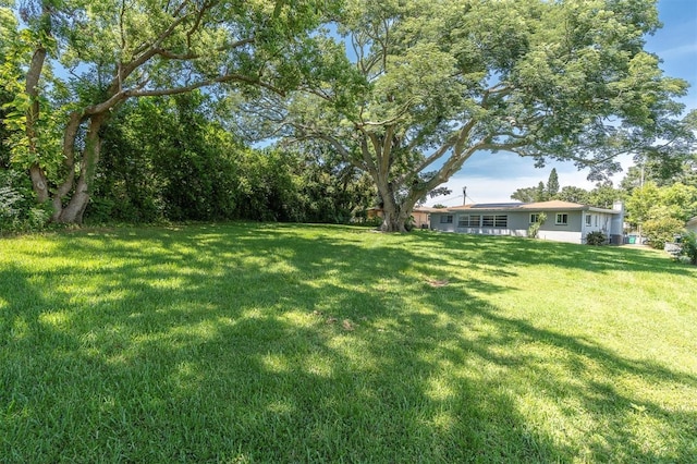 1636 Bravo Dr, Clearwater, FL 33764 - photo 32
