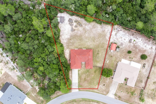 17179 SW 41st Cir, Ocala, FL 34473 - photo 36