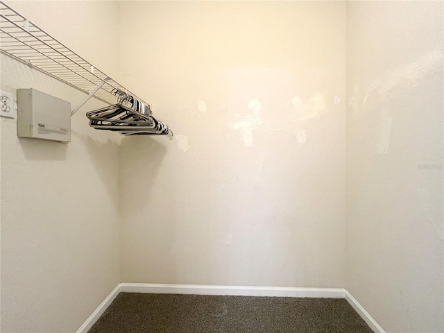 4877 NW 42nd Rd Unit 106, Gainesville, FL 32606 - view of walk in closet