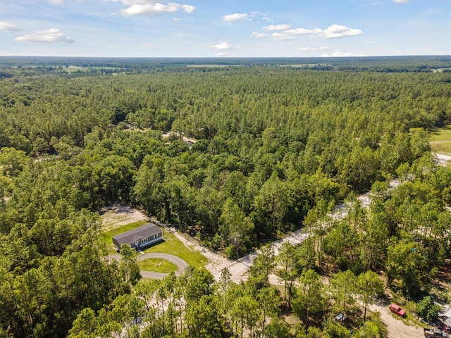 TBD NW 16th Ave, Bell, FL 32619 - photo 1