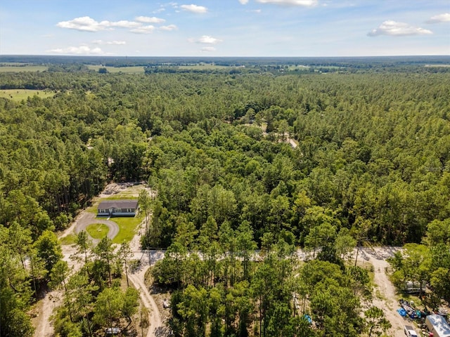 TBD NW 16th Ave, Bell, FL 32619 - photo 2