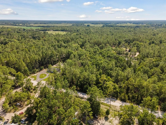 TBD NW 16th Ave, Bell, FL 32619 - photo 3