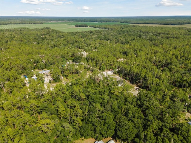 TBD NW 16th Ave, Bell, FL 32619 - photo 4