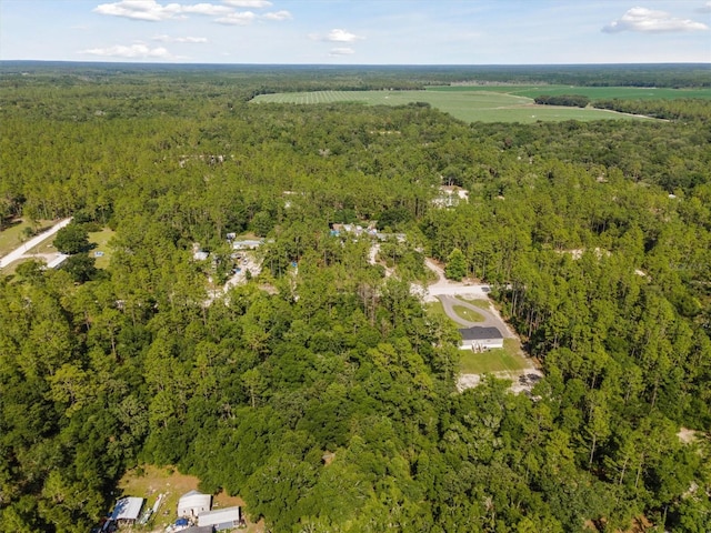 TBD NW 16th Ave, Bell, FL 32619 - photo 5