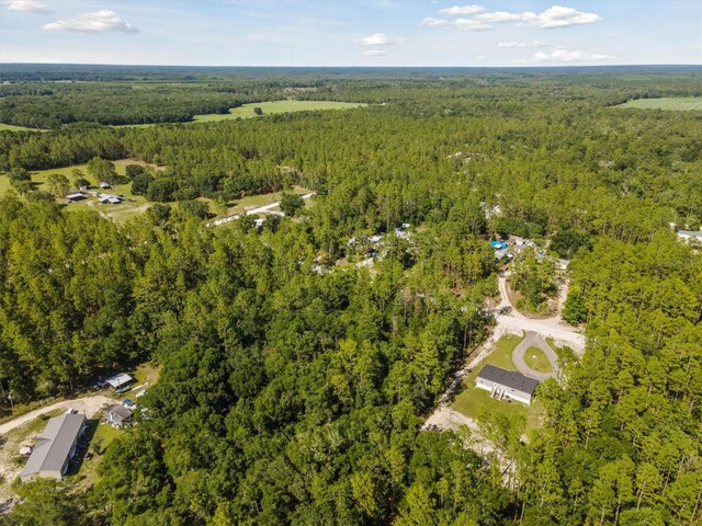 TBD NW 16th Ave, Bell, FL 32619 - photo 6