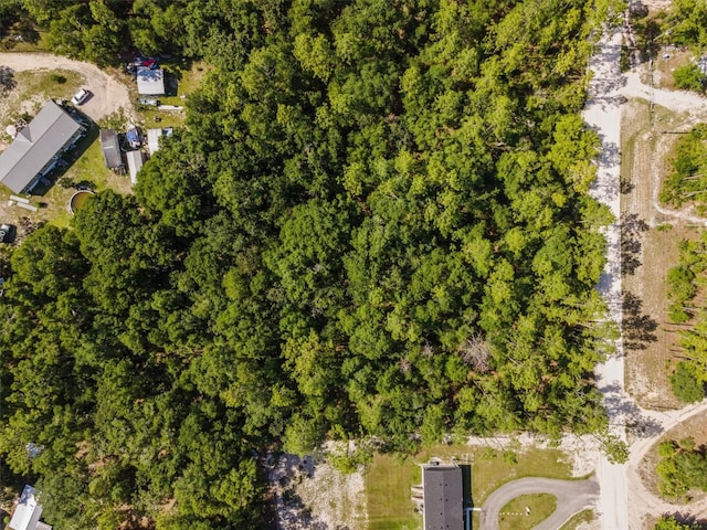 TBD NW 16th Ave, Bell, FL 32619 - photo 7