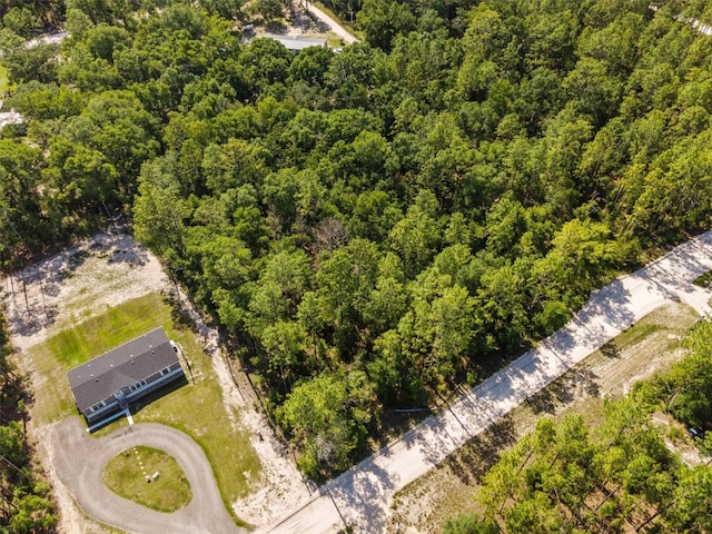 TBD NW 16th Ave, Bell, FL 32619 - photo 8
