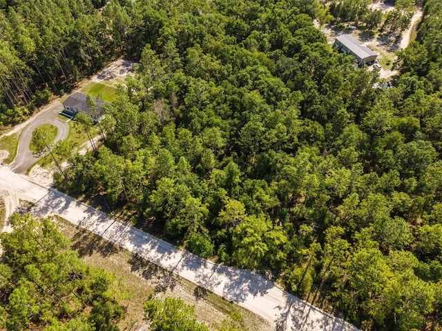 TBD NW 16th Ave, Bell, FL 32619 - photo 9