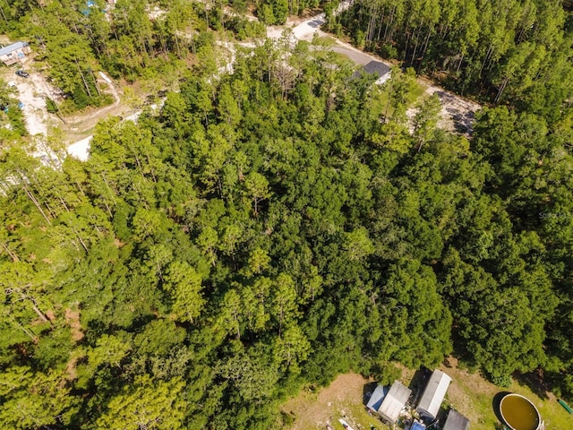 TBD NW 16th Ave, Bell, FL 32619 - photo 10