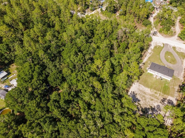 TBD NW 16th Ave, Bell, FL 32619 - photo 11