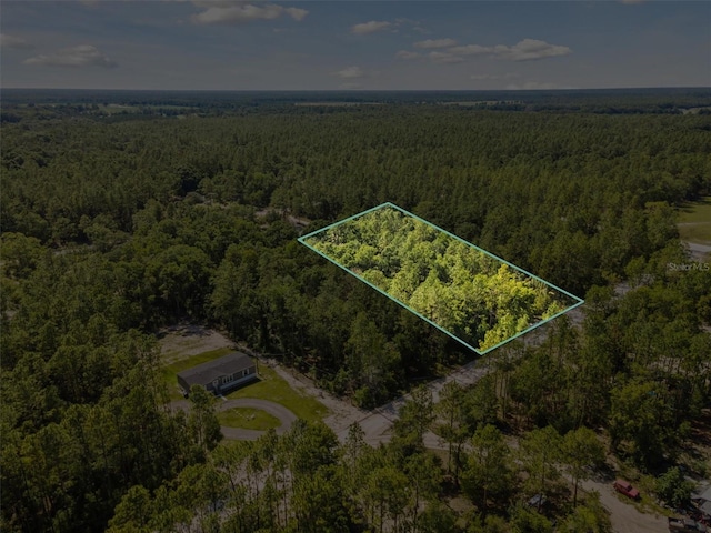 TBD NW 16th Ave, Bell, FL 32619 - photo 12