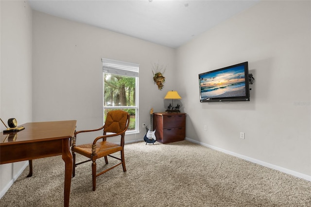13617 SW 2nd Ln, Newberry, FL 32669 - photo 29