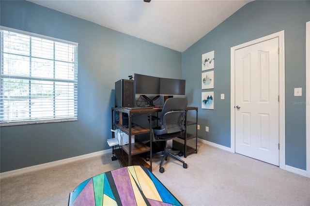 6026 NW 35th St, Gainesville, FL 32653 - photo 40