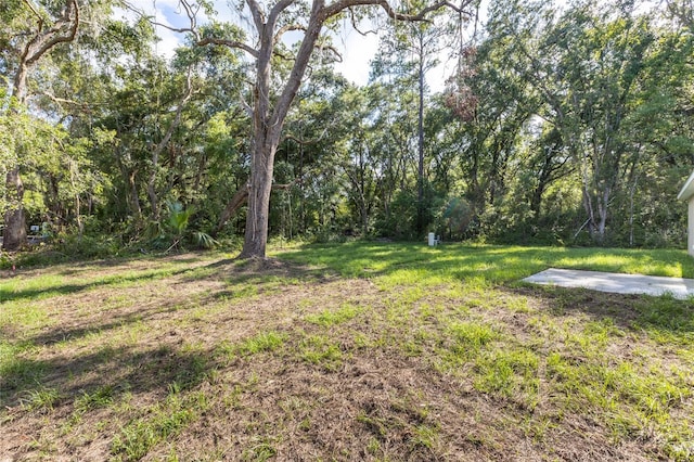 61 Fisher Way Crse, Ocklawaha, FL 32179 - photo 41