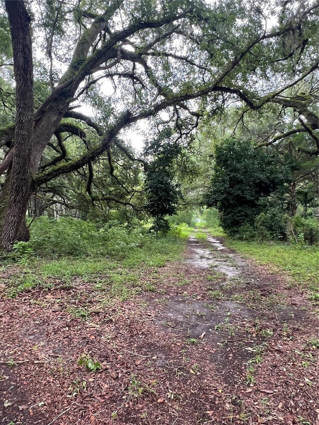7606 SW 122nd St, Gainesville, FL 32608 - photo 4
