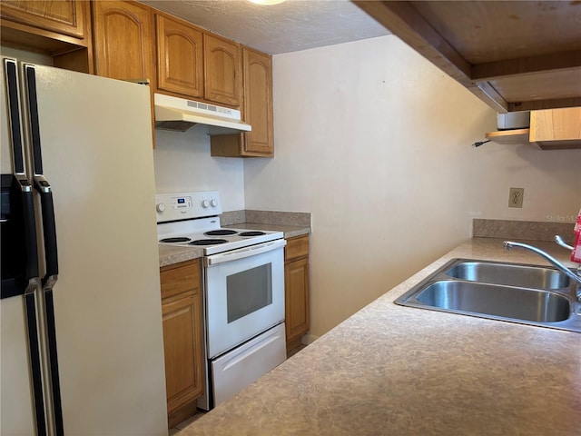 13 Della St, Beverly Hills, FL 34465 - photo 7