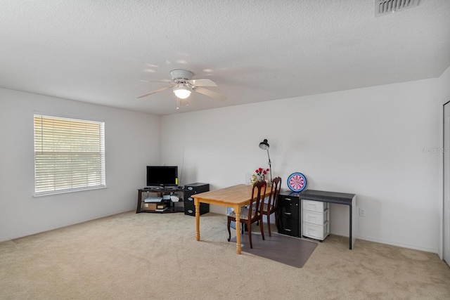 24384 SW 8th Pl, Newberry, FL 32669 - photo 24