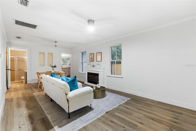 902 NW 4th Pl, Gainesville, FL 32601 - photo 12