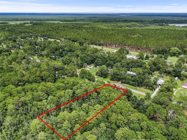 TBD 180th St, Waldo, FL 32694 - photo 4