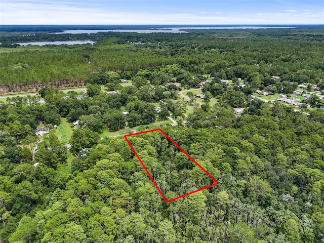 TBD 180th St, Waldo, FL 32694 - photo 5