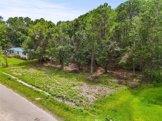 TBD 180th St, Waldo, FL 32694 - photo 7