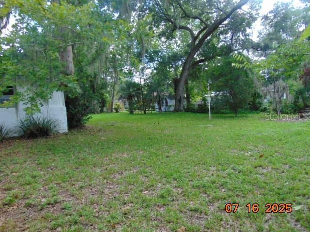 647 NE 23rd St, Gainesville, FL 32641 - photo 4