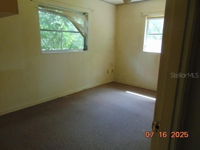 647 NE 23rd St, Gainesville, FL 32641 - photo 10