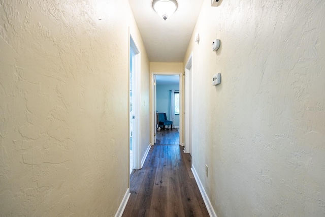 5730 NW 28th Ter, Gainesville, FL 32653 - photo 17