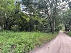 17411 NW 110th Ave, Alachua, FL 32615 - photo 2