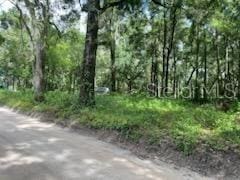 17411 NW 110th Ave, Alachua, FL 32615 - photo 3