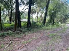 17411 NW 110th Ave, Alachua, FL 32615 - photo 5