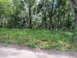 17411 NW 110th Ave, Alachua, FL 32615 - photo 6