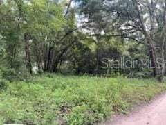 17411 NW 110th Ave, Alachua, FL 32615 - photo 7
